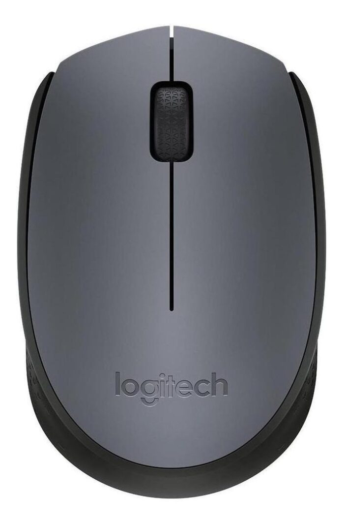 Mouse Optico Inalambrico Logitech M170, Plata, (910-005334)